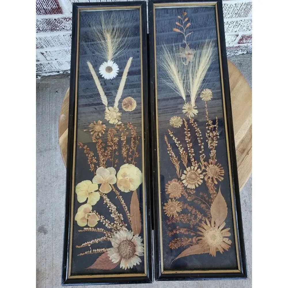 2 ANTIQUE ROCCOCO FRAMED DRIED FLOWER pressed poland victorian‎ oddity wall art